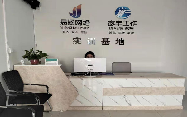 职场实训